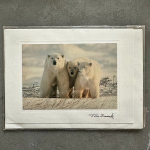 Polar Bear Family Color Photography Vintage Handmade Photo Card, Made in Alaska
